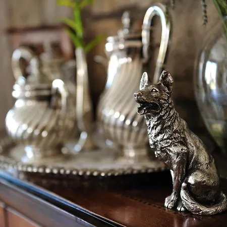 Sultan Butik ℳℛ Luxury Concept