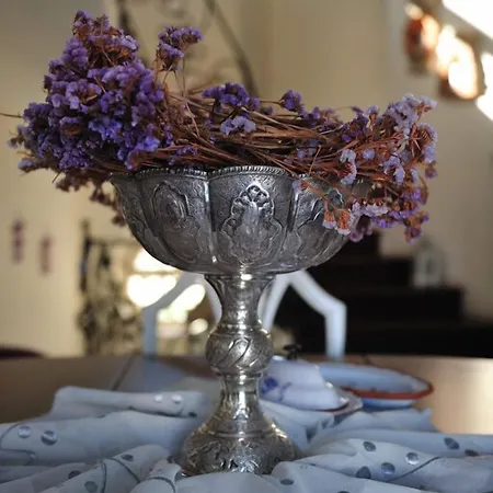 Sultan Butik ℳℛ Luxury Concept ألاتشاتي