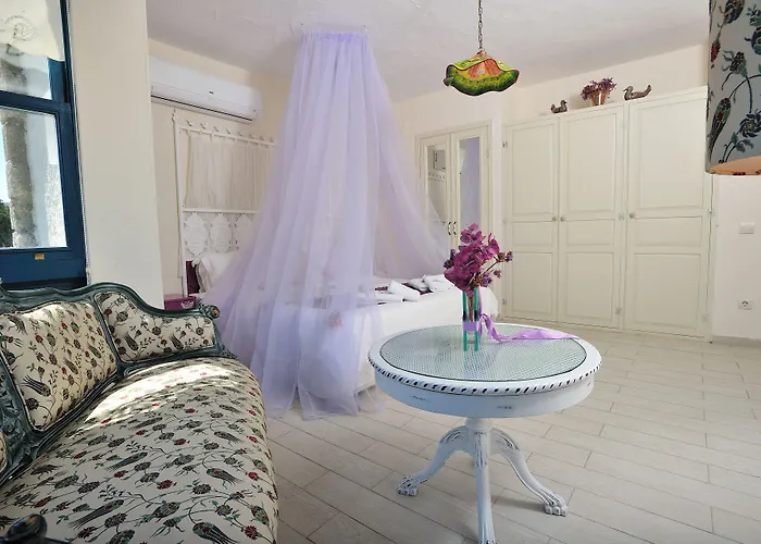 Sultan Butik ℳℛ Luxury Concept 4*