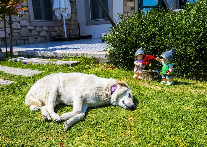 Sultan Butik ℳℛ Luxury Concept Guest house Alacati